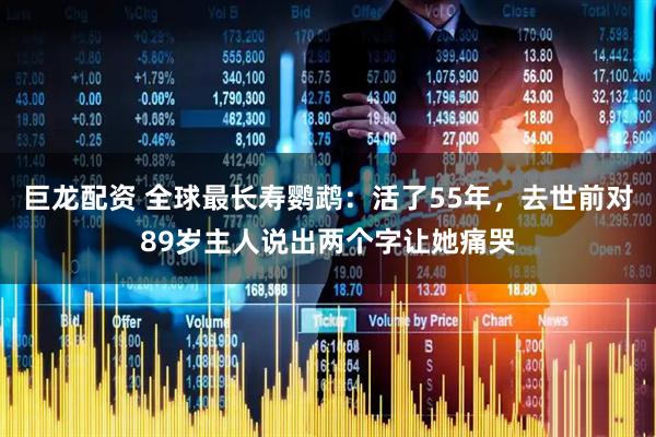 巨龙配资 全球最长寿鹦鹉:活了55年,去世前对89岁主人说出两个字让她痛哭