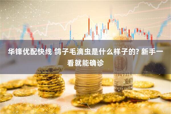 华锋优配快线 鸽子毛滴虫是什么样子的? 新手一看就能确诊