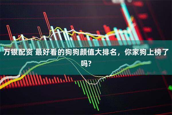 万银配资 最好看的狗狗颜值大排名,你家狗上榜了吗?